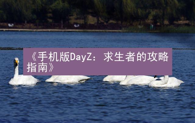 《手机版DayZ：求生者的攻略指南》