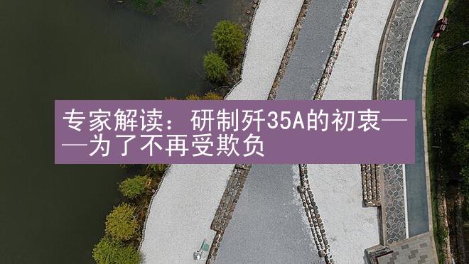 专家解读：研制歼35A的初衷——为了不再受欺负