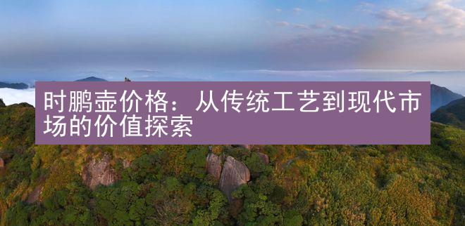 时鹏壶价格：从传统工艺到现代市场的价值探索