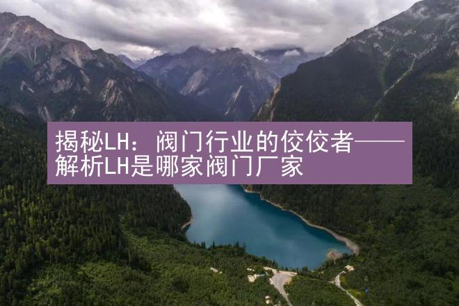 揭秘LH：阀门行业的佼佼者——解析LH是哪家阀门厂家