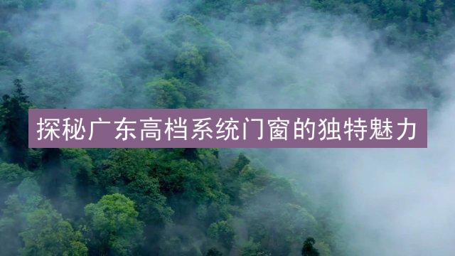 探秘广东高档系统门窗的独特魅力