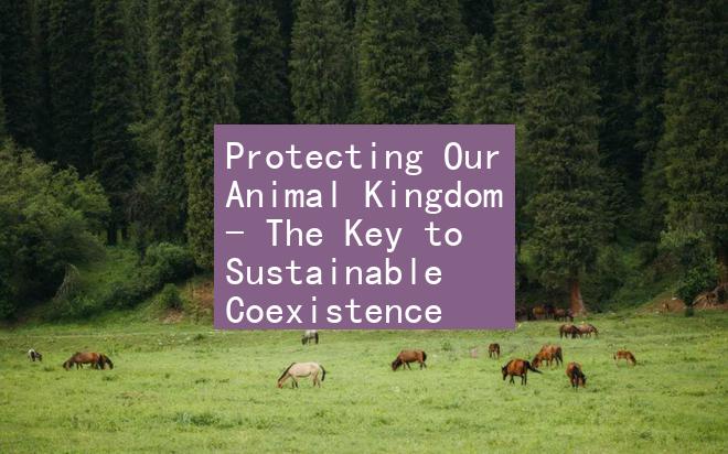 Protecting Our Animal Kingdom - The Key to Sustainable Coexistence