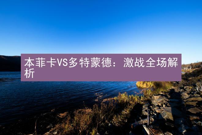 本菲卡VS多特蒙德：激战全场解析