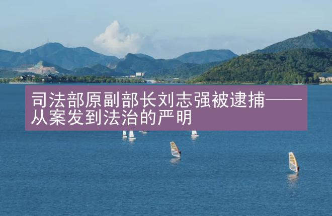 司法部原副部长刘志强被逮捕——从案发到法治的严明