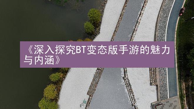 《深入探究BT变态版手游的魅力与内涵》