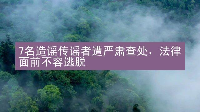 7名造谣传谣者遭严肃查处，法律面前不容逃脱