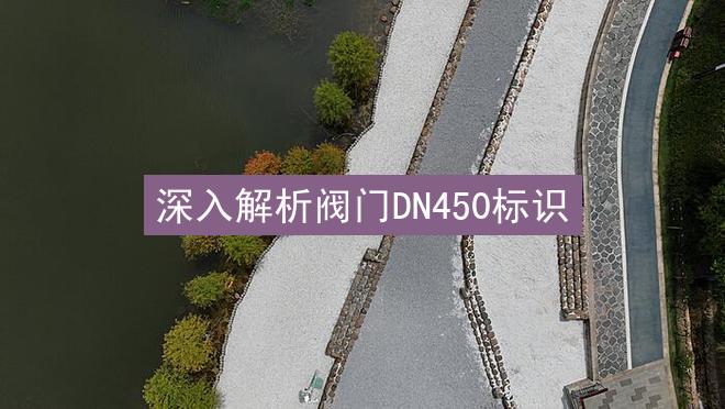 深入解析阀门DN450标识