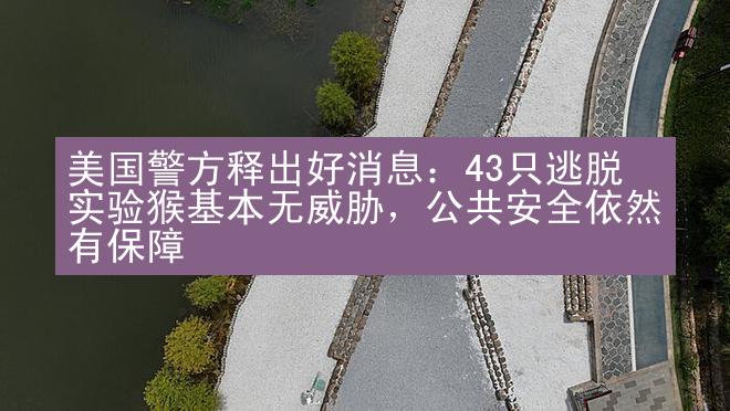 美国警方释出好消息：43只逃脱实验猴基本无威胁，公共安全依然有保障