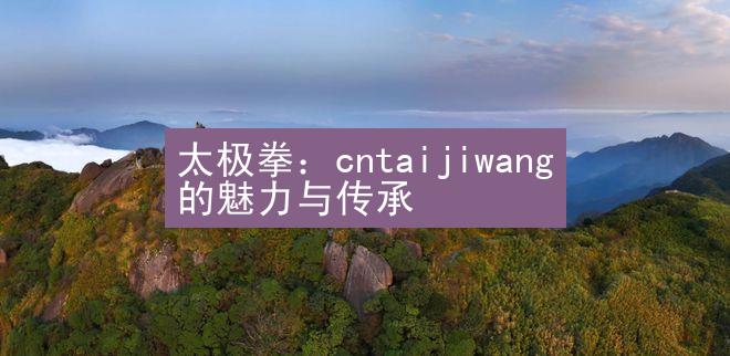 太极拳：cntaijiwang的魅力与传承