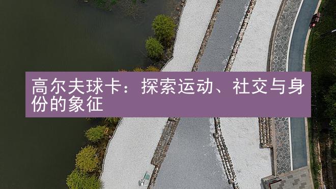 高尔夫球卡：探索运动、社交与身份的象征