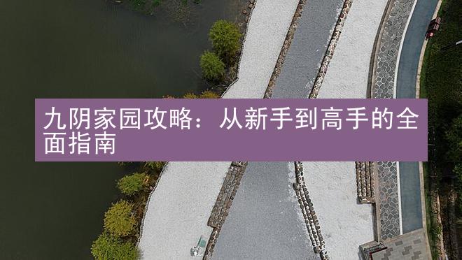 九阴家园攻略：从新手到高手的全面指南