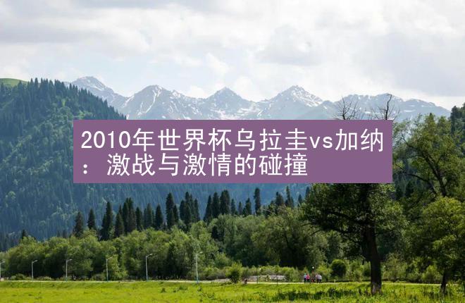 2010年世界杯乌拉圭vs加纳：激战与激情的碰撞