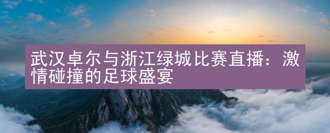 武汉卓尔与浙江绿城比赛直播：激情碰撞的足球盛宴