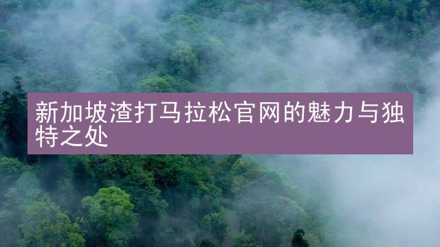 新加坡渣打马拉松官网的魅力与独特之处