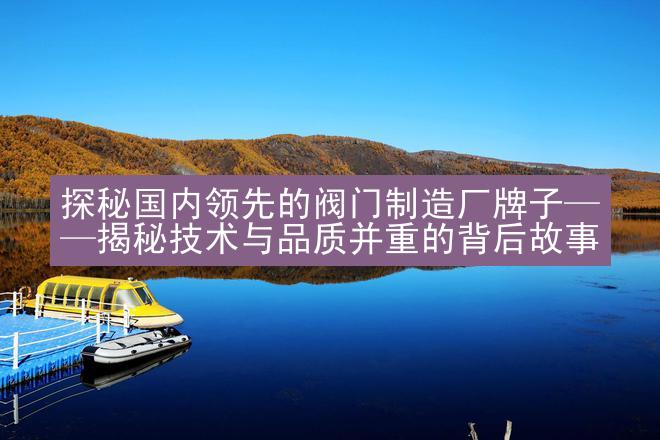 探秘国内领先的阀门制造厂牌子——揭秘技术与品质并重的背后故事