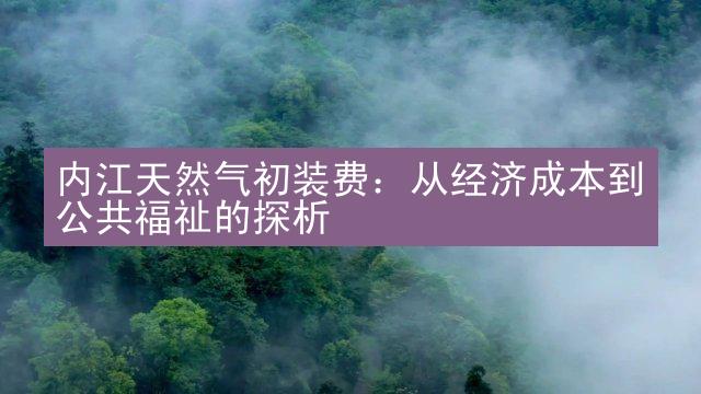 内江天然气初装费：从经济成本到公共福祉的探析