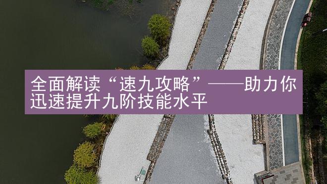 全面解读“速九攻略”——助力你迅速提升九阶技能水平