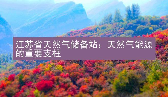 江苏省天然气储备站：天然气能源的重要支柱