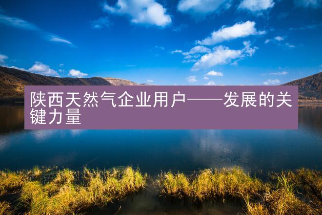 陕西天然气企业用户——发展的关键力量