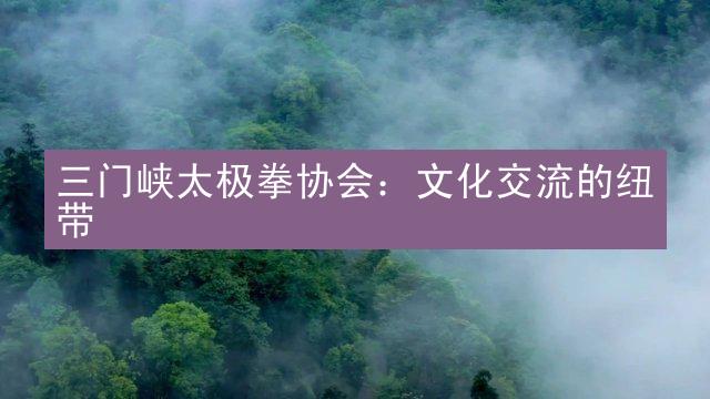 三门峡太极拳协会：文化交流的纽带