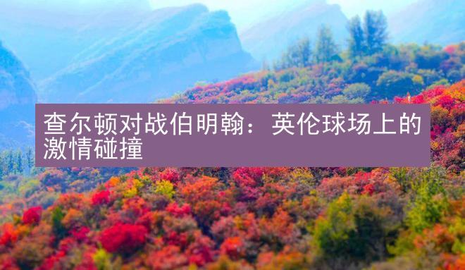 查尔顿对战伯明翰：英伦球场上的激情碰撞