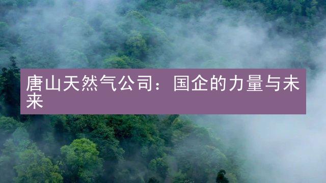 唐山天然气公司：国企的力量与未来