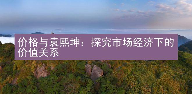 价格与袁熙坤：探究市场经济下的价值关系