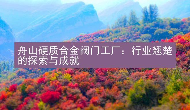 舟山硬质合金阀门工厂：行业翘楚的探索与成就