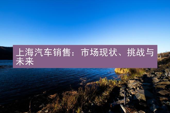 上海汽车销售：市场现状、挑战与未来