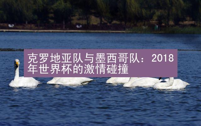 克罗地亚队与墨西哥队：2018年世界杯的激情碰撞