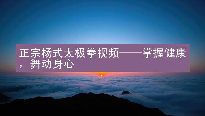 正宗杨式太极拳视频——掌握健康，舞动身心