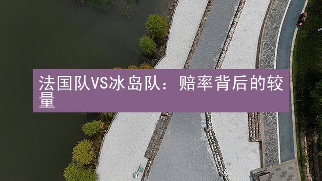 法国队VS冰岛队：赔率背后的较量