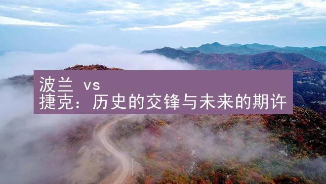 波兰 vs 捷克：历史的交锋与未来的期许