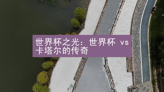 世界杯之光：世界杯 vs 卡塔尔的传奇