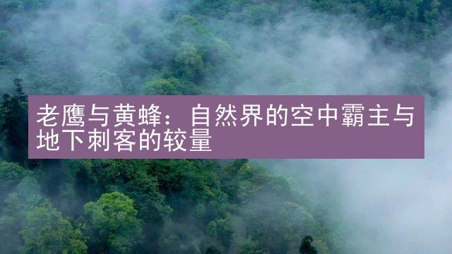 老鹰与黄蜂：自然界的空中霸主与地下刺客的较量