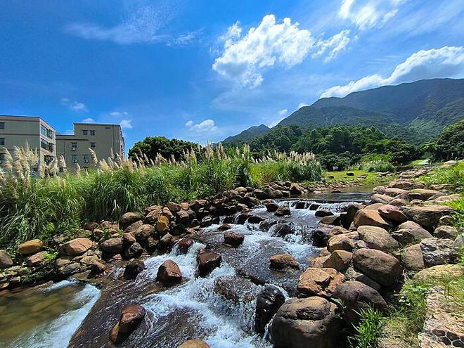 村支书谈农事：男子回乡种地遭遇麦田惨遭破坏事件全面回应