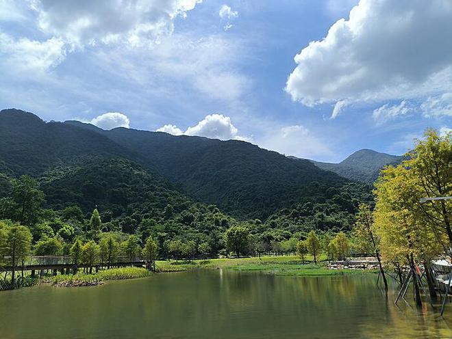 74岁刘晓庆坚持晨跑：健康生活的积极榜样